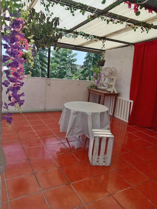 La Mas Comoda Y Elegante Apartment