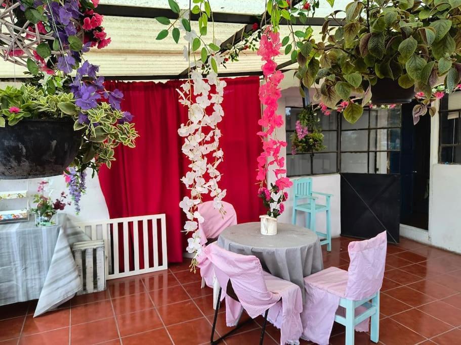 La Mas Comoda Y Elegante Mexico City